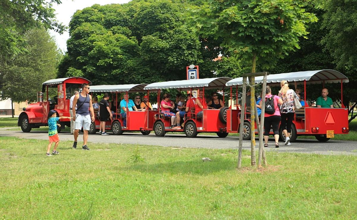 Apartma V Srdci Podebrad Podiebrady Zewnętrze zdjęcie