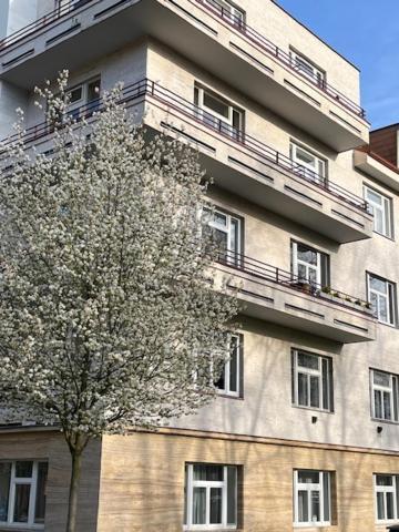 Apartma V Srdci Podebrad Podiebrady Zewnętrze zdjęcie